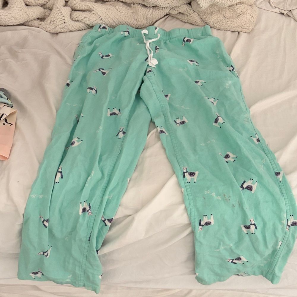 Women’s J.crew Mint Green Pajama Pants